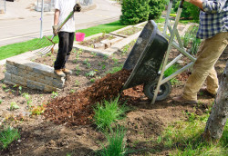 Aménagement de jardin à Champigny-sur-Marne